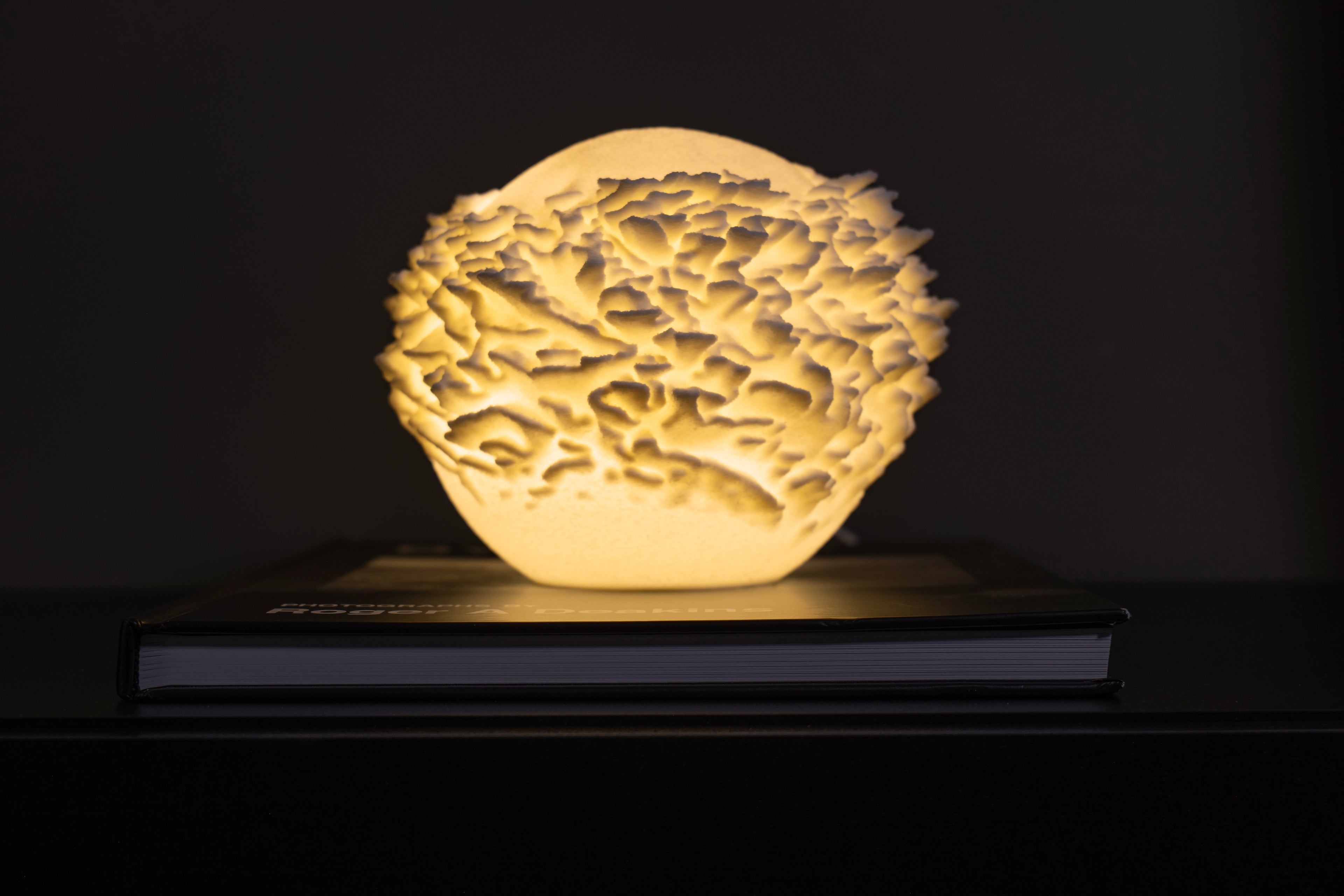 Plate Coral Sculpted Mini Lamp
