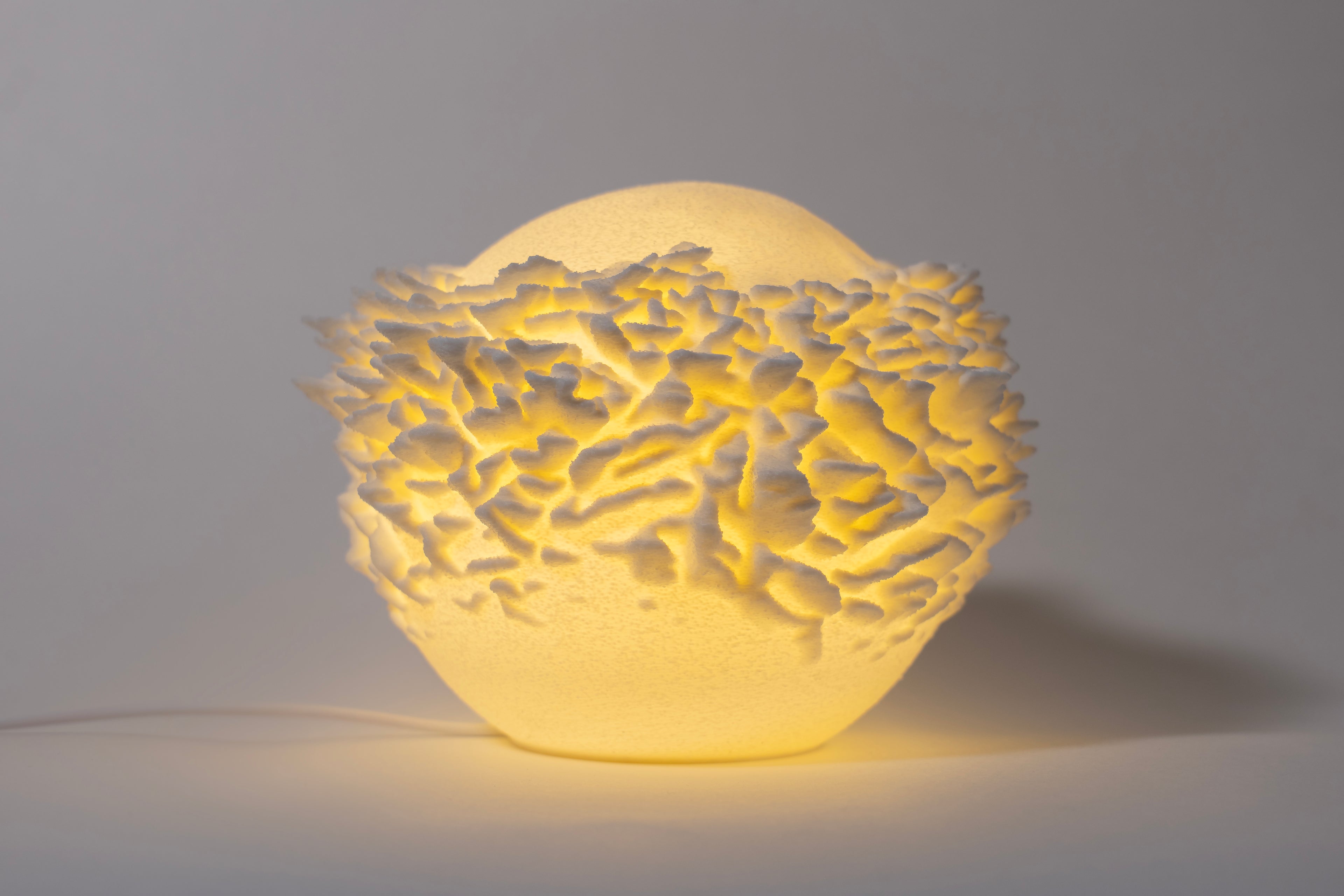 Plate Coral Sculpted Mini Lamp