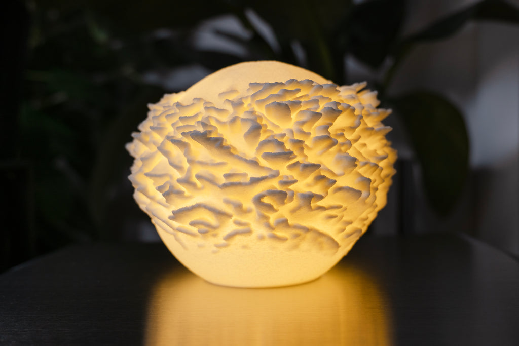 Plate Coral Sculpted Mini Lamp