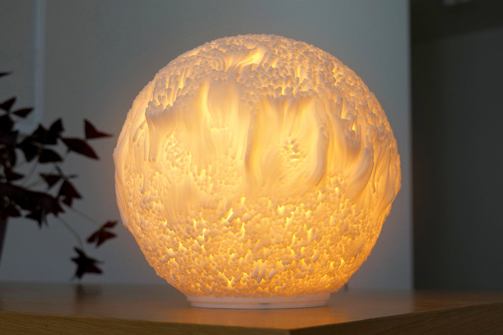 Reef Sculpted Lamp
