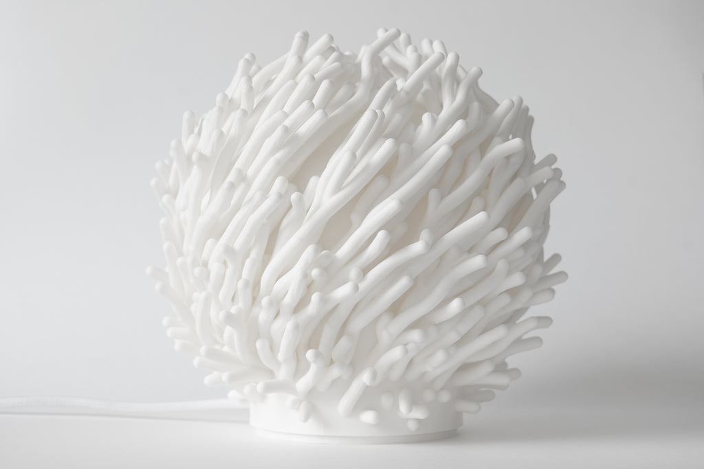 Coral Sculpted Lamp