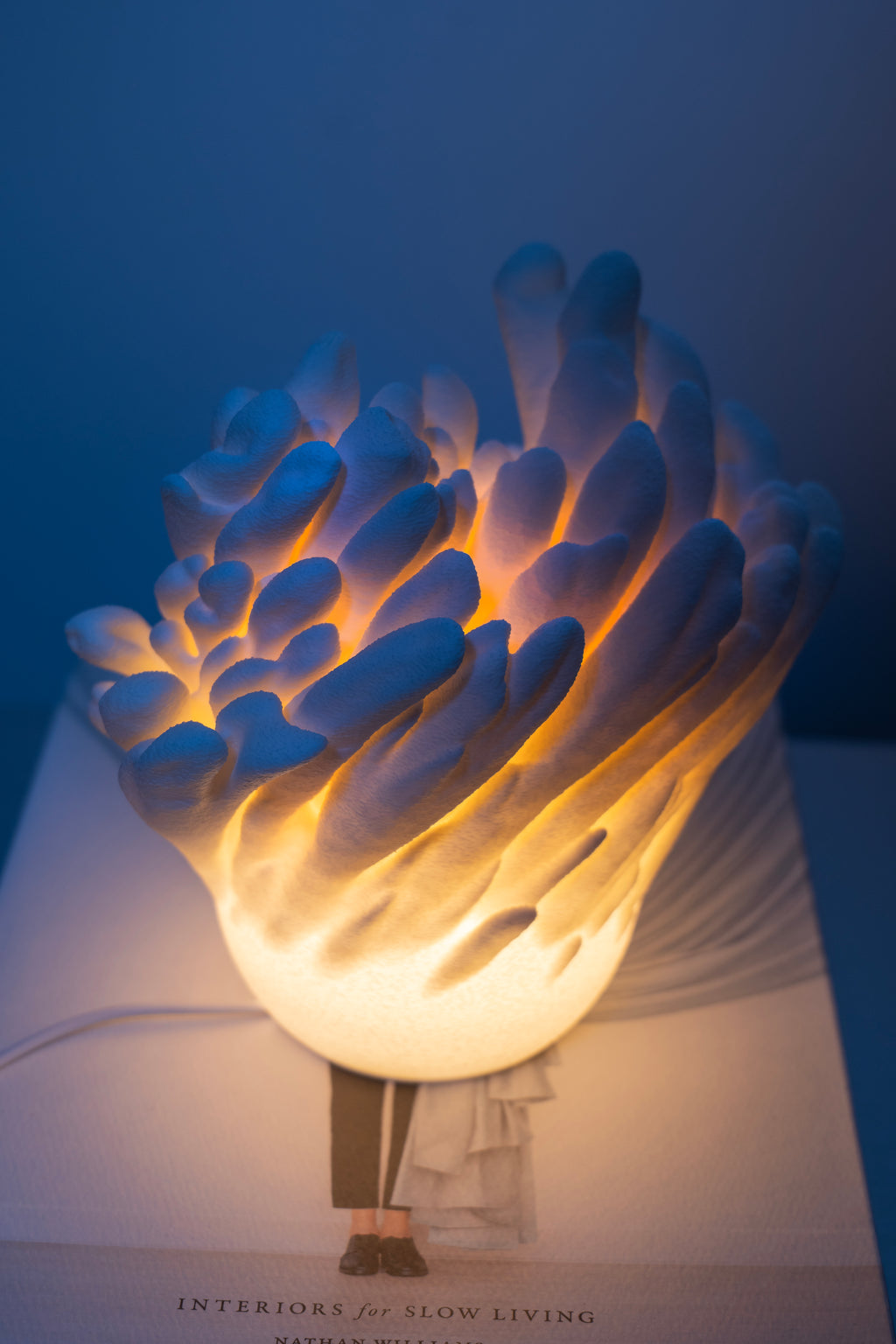 Underwater Bloom