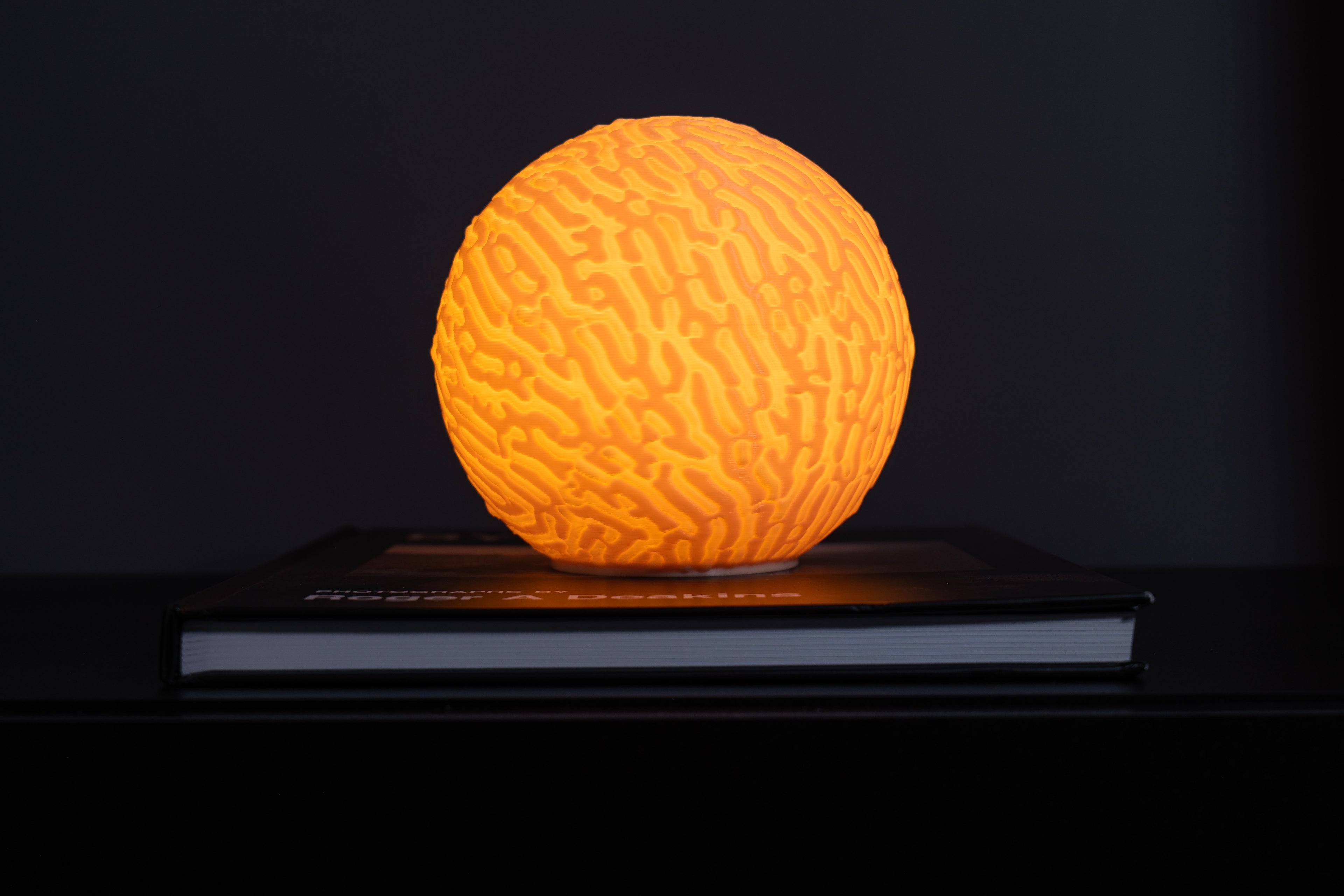 Self Organized Mini Lamp